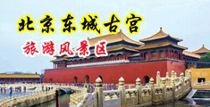 暴操嫩屄视频中国北京-东城古宫旅游风景区